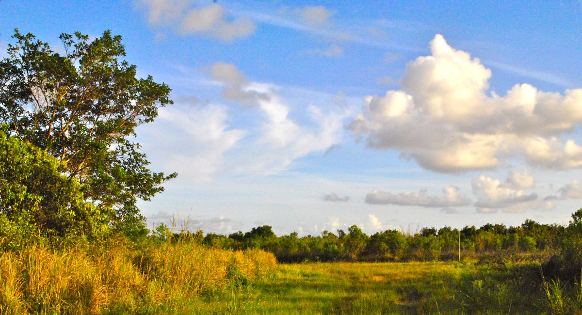 southern glades environmental and wildlife area